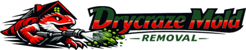 Drycraze Mold Removal